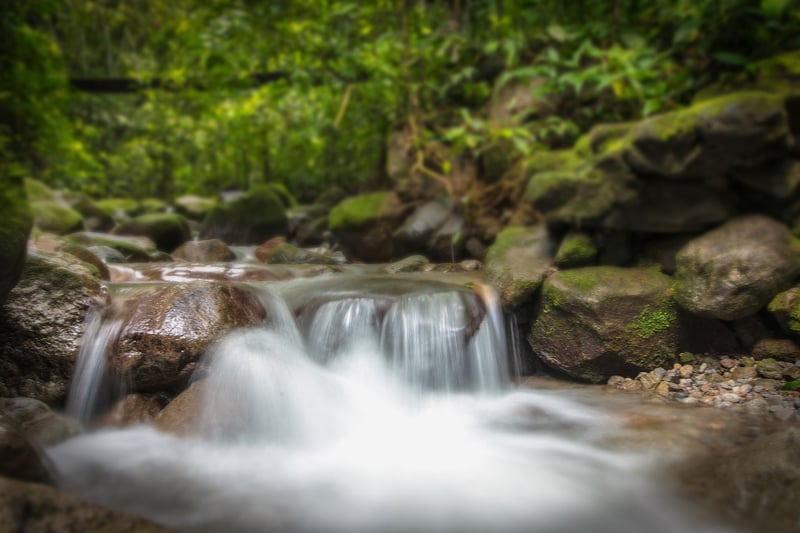 Mystical Oasis