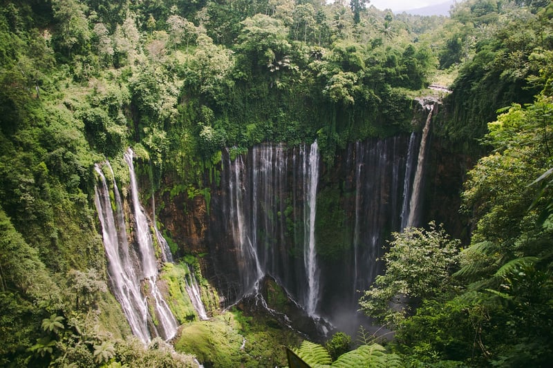 Tropical Zen Waterfall